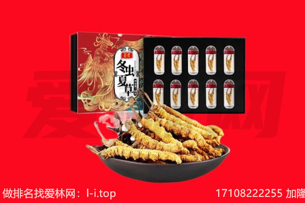 通辽市回收虫草.jpg